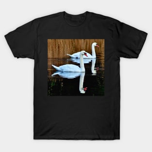 The swans of Conquet T-Shirt